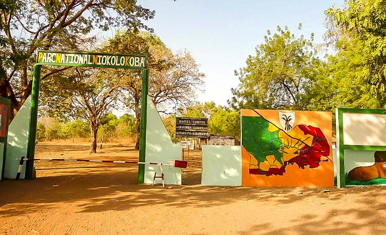 Parc-national-du-niokolo-Koba