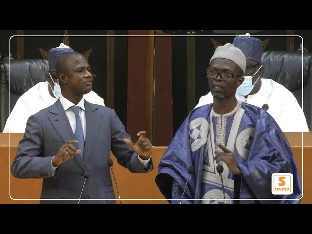 Cheikh Mbacké Bara Doly à Antoine Diome : « Amouma ci yaw confiance, yay bras armé Macky Sall »