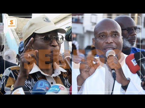 Locales 2022 : Zahra Iyane Thiam avertit Barthélemy Dias… (Senego Tv)