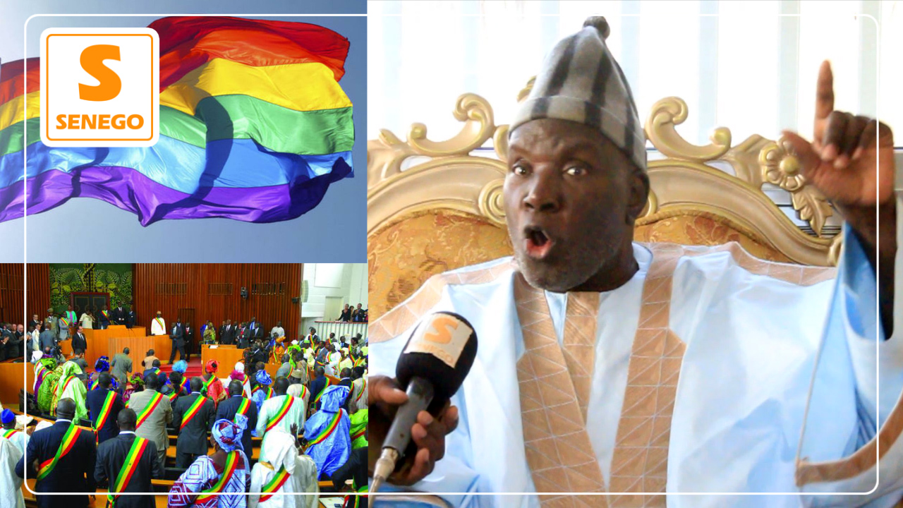Criminalisation de l’homosexualité : Me Abdoulaye Babou accable Macky Sall