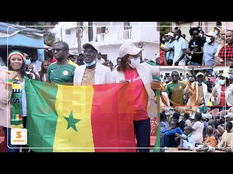 CAN : Dr Malick Diop et Seydou Guèye, deux regards différents sur le 1er match des Lions (Senego-TV)