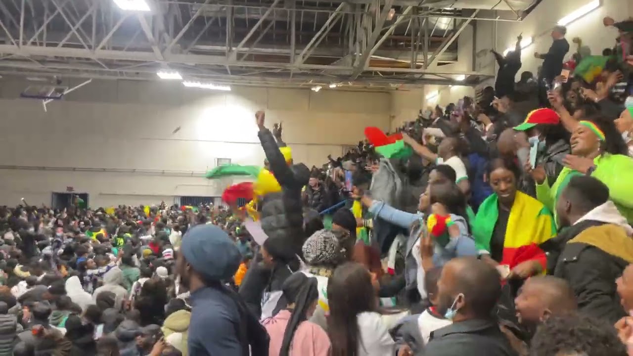 Sénégal champion d&rsquo;Afrique : La joie des supporters sénégalais à Mante La Jolie (vidéo)