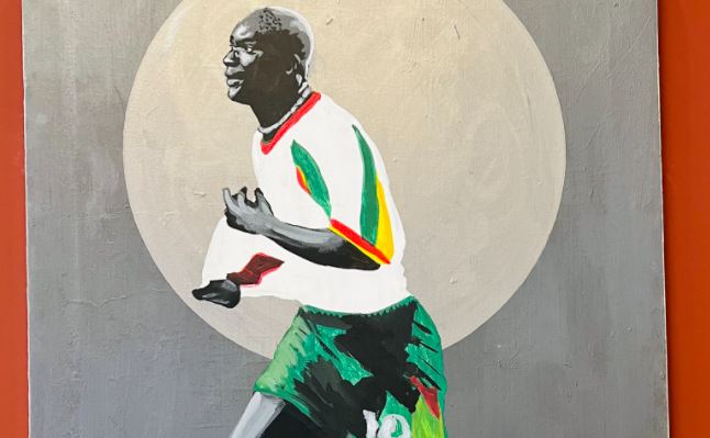 Stade Abdoulaye Wade: Découvrez en images le musée Pape Bouba Diop