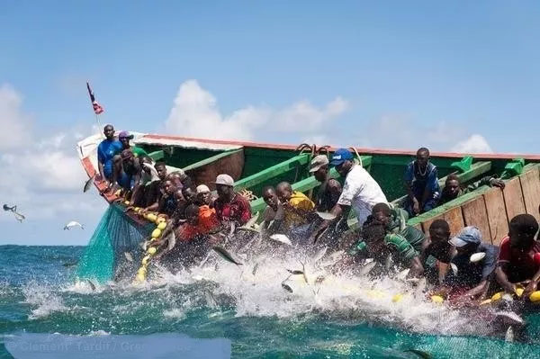 Emigration clandestine : 200 candidats victimes d’une arnaque frôlent la catastrophe en mer