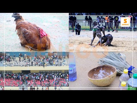 Tapha Mbeur vs Liss Ndiago : Suivez l’intégralité du combat (Senego TV)