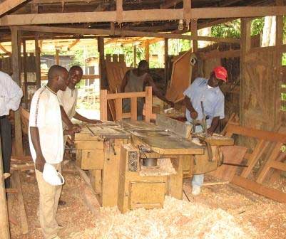 Cherté du bois : Les menuisiers haussent le ton…