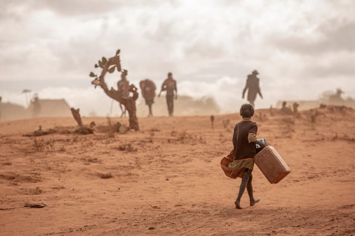 Guerre en Ukraine : L’Onu met en garde contre une famine mondiale
