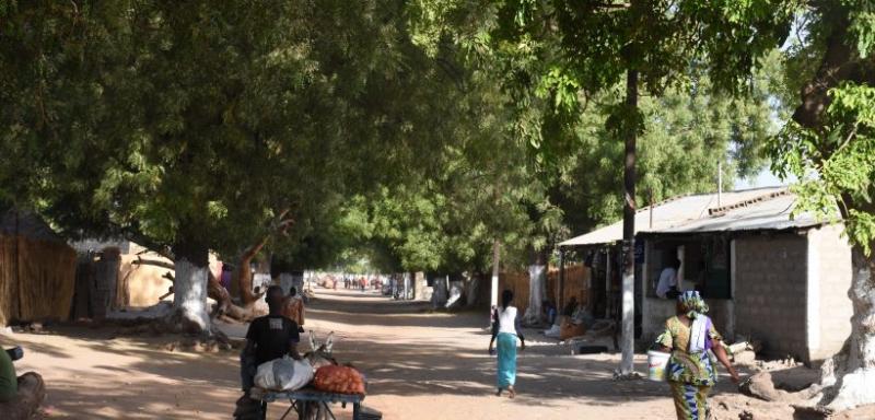 Toubacouta : Arrestation de six manifestants contre le lotissement du village de Diaglé