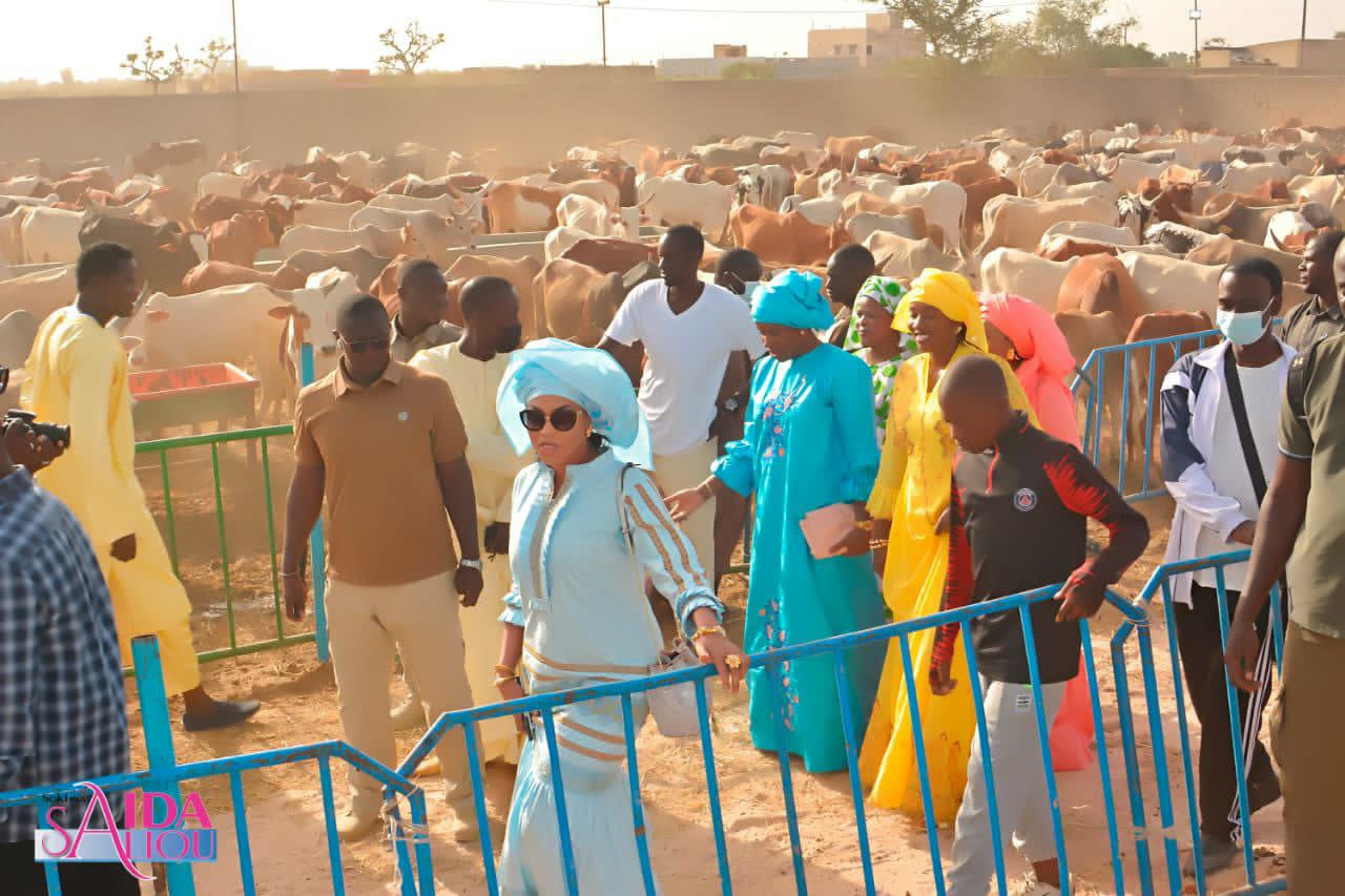 Célébration 17Avril 2022 : Sokhna Aïda Diallo rehausse la barre et achemine plus de 3500 boeufs à Madinatou Salam