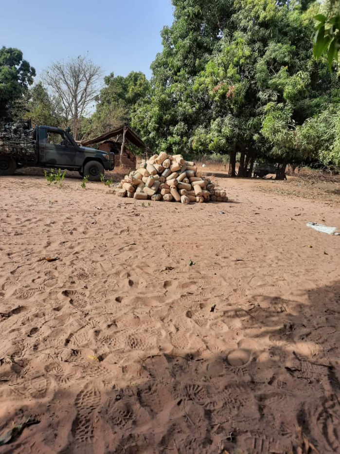 Casamance : L’Armée saisit une grosse quantité de chanvre indien dans les bases de Paul Bassène (Photos)