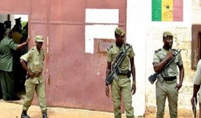 Prisons sénégalaises : Les révélations effroyables du Frapp