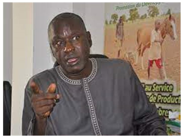 Changement liste YAW Dakar : Le démenti formel de Saliou Sarr, Coordonnateur national de Taxawu Sénégal