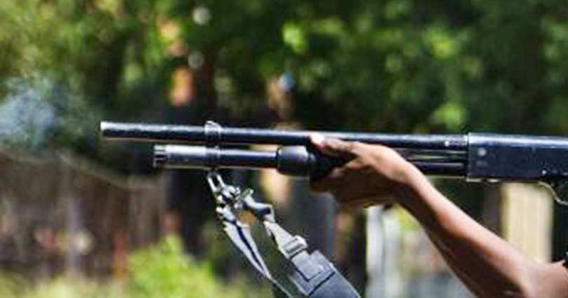 Saint-Louis : Un berger fusillé par un gardien de périmètre agricole