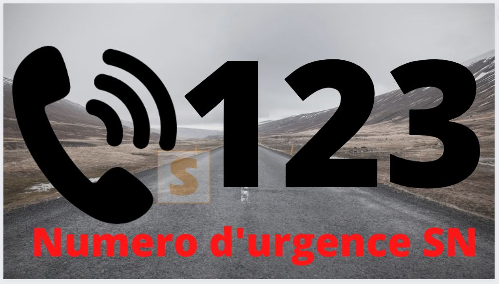 Face à l’urgence sécuritaire : Antoine Félix Diome lance le numéro d’urgence « 123 »