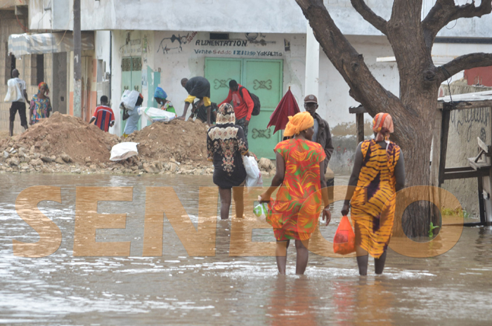 Hivernage : Une saison des pluies précoce annoncée au Sénégal en 2022