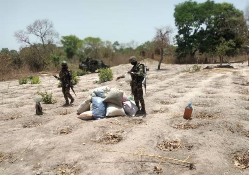 Commune de Djibidione : Un chef de village arrêté avec une quantité énorme de Yamba dans sa maison