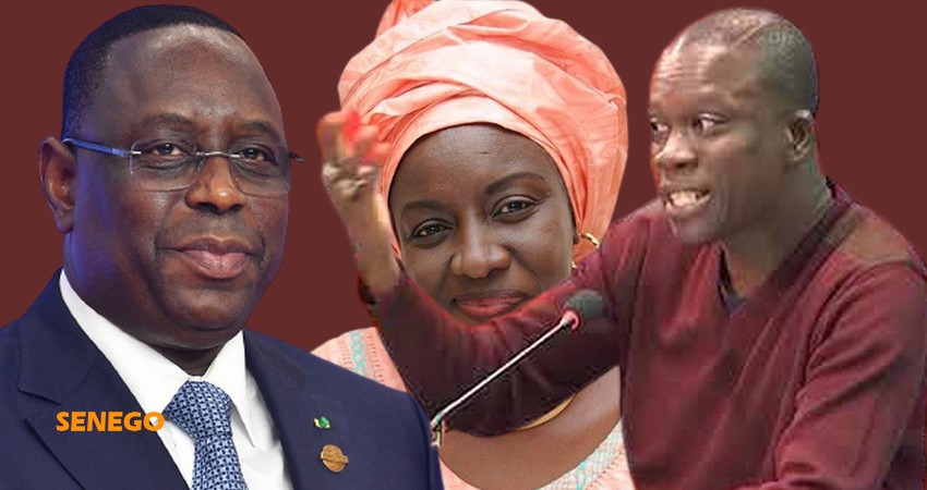 Pa Assane SECK : «Faw sénégalais yi am foulleu jakarlo ak wa Bby»