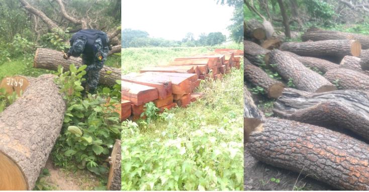 Casamance : Un camion contenant des centaines de pièces de bois saisi à Tanaff (Photos)