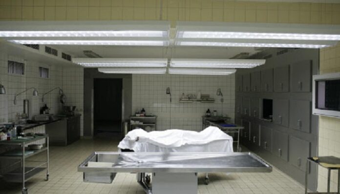 coronavirus-cadavre-morgue-deces-mort-1-1-696×398