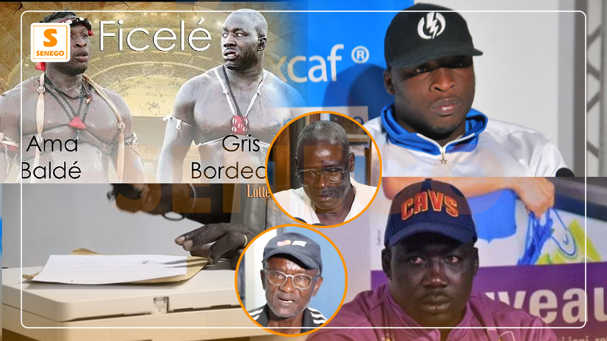Choc inédit : Ama Baldé vs Gris-Bordeaux ficelé (Senego TV)