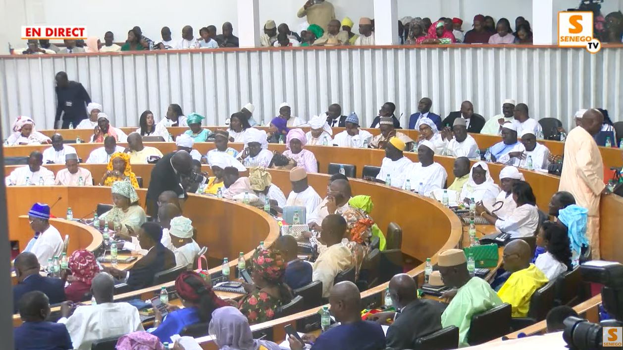 Assemblée nationale : « Les ministres élus ne peuvent voter… », Ngouda Mboup