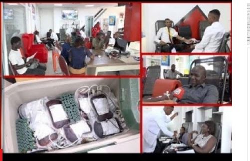Don de sang à Seneweb : la commission féminine porte le plaidoyer…vidéo