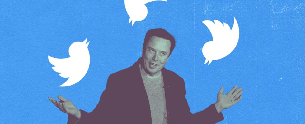 Twitter : Perte de la moitié de ses revenus publicitaires depuis son rachat par Elon Musk…