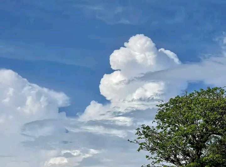 Flash Météo  : Découvrez le temps qu’il fait au Sénégal, ce mercredi