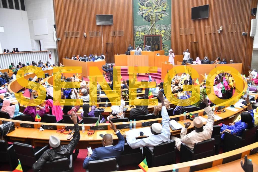 Assemblée nationale-marie khémesse ngom ndiaye