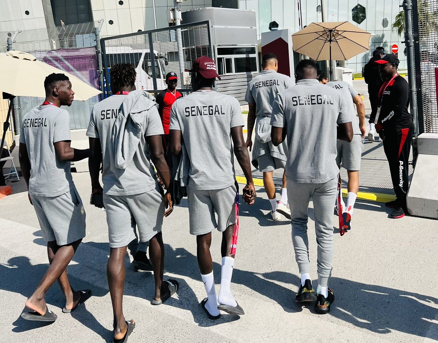 Mondial 2022 – Arrêt sur image: La balade d’avant match des Lions du Sénégal