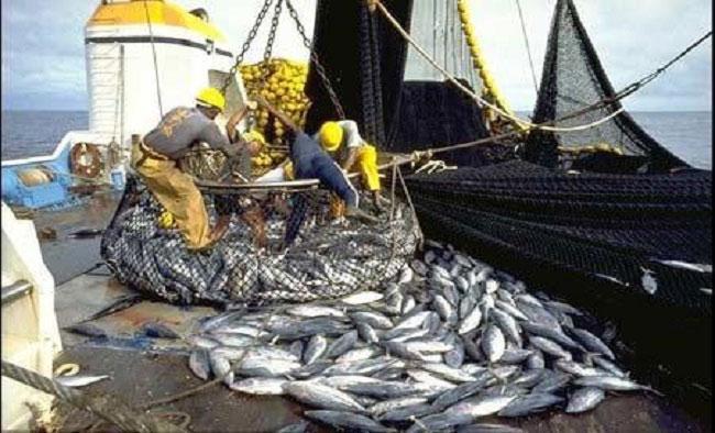 Rejet demandes de nouvelles licences de pêche : Le PRCM salue la décision de l’Etat