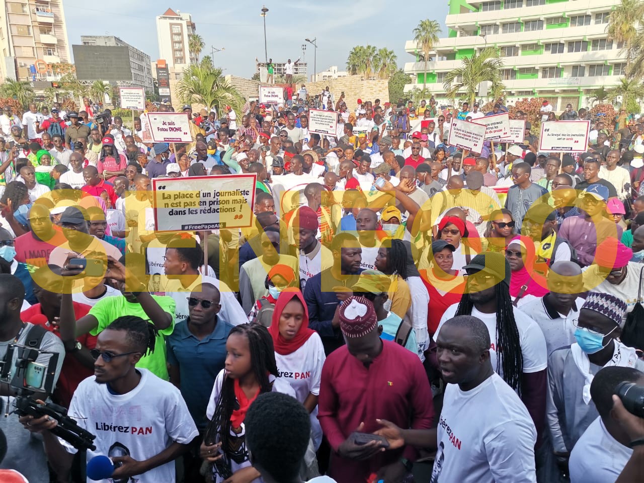 Marche Libération Pape Alé Niang : Forte mobilisation de la Presse. Revivez le Direct de Senego TV