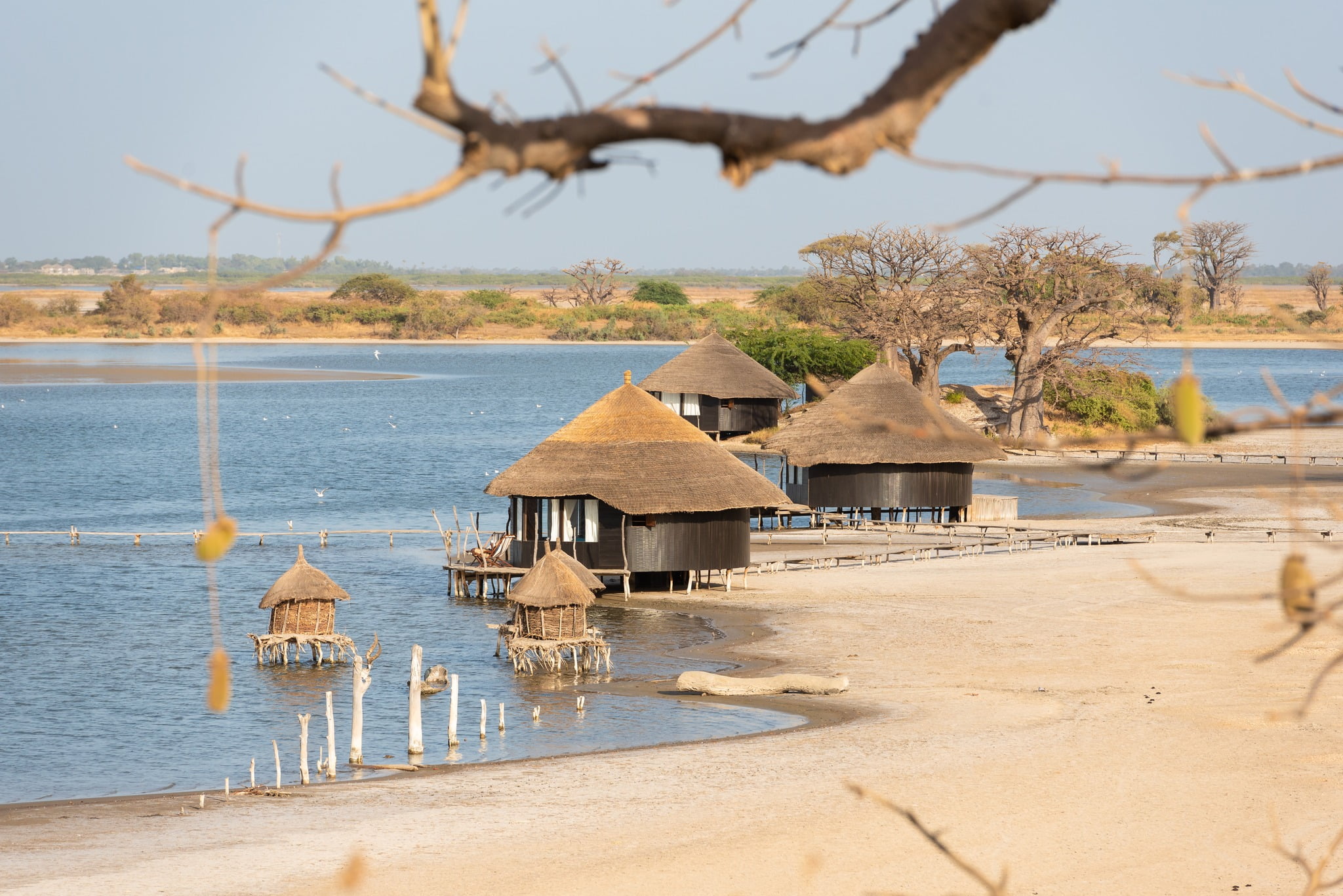Le Sénégal présente une nature exotique et une richesse culturelle inestimable au FITUR