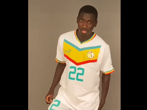 Chan 2022 : Les Lions du Sénégal en mode shooting avec les nouveaux maillots (vidéo)