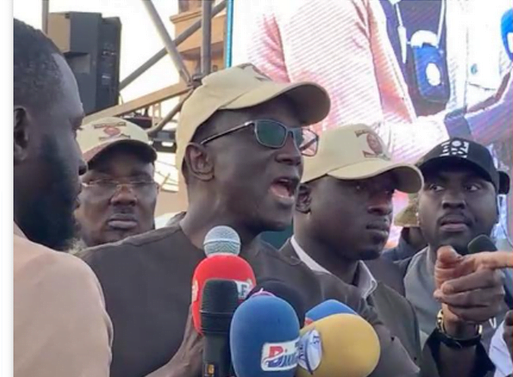 « Amadou Ba, le PM transformé en Directeur de Campagne » (Mamadou Lamine Diallo)