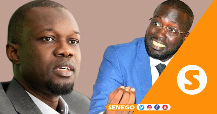 Pape Mahawa Diouf : « Les Sénégalais iront aux élections le 25 février 2024, avec ou sans Ousmane Sonko »