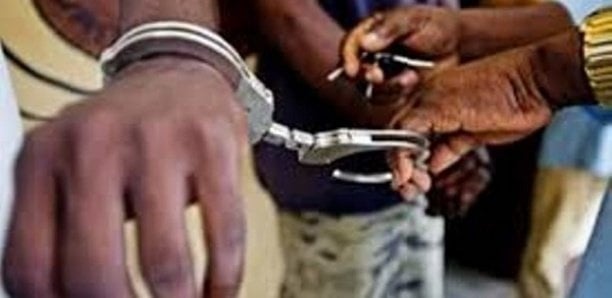 Kolda : La police neutralise une bande cambrioleurs …