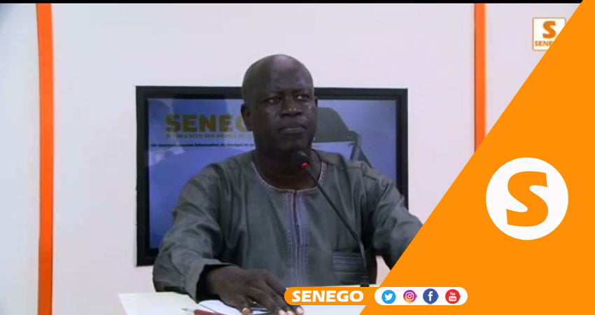 Emploi des jeunes : Les propositions du Pr Aly Ane Diop pour réduire le chômage (Senego TV)