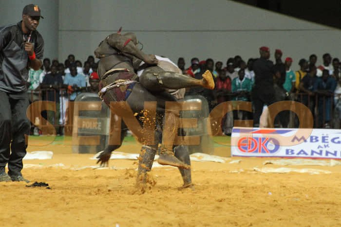 Lutte – Tournoi CLAF : Retour annoncé pour la saison prochaine