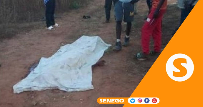 Gadaye, un jeune homme tué, sa mère  inconsolable : « Dagnouko Diam Ci… » (Senego-TV)