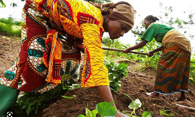 Dr Mariama Maiga : Les femmes ont besoin de plus d’accès aux ressources productives agricoles »