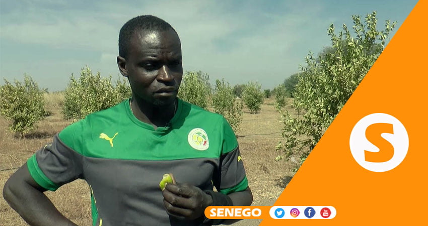 Risques élevés d’investir au Sénégal : Les conseils de Ferdinand Coly aux joueurs comme Sadio Mané