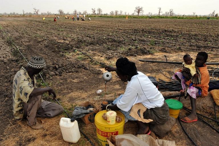Crise climatique-refroidissement écologique : Des journalistes renforcés en capacités…
