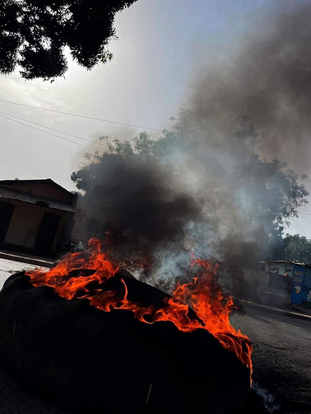 Ziguinchor : « La police a utilisé une ambulance pour s’approcher du domicile de Sonko… », Guy Marius Sagna