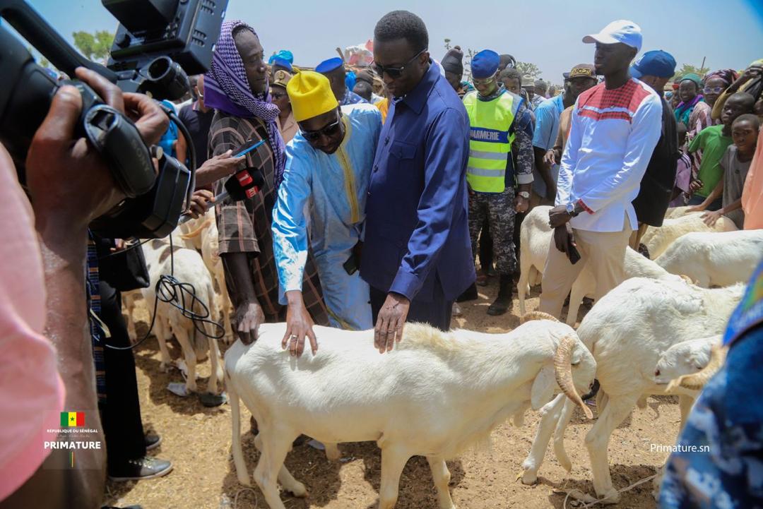 Tabaski 2023 : Le Premier Ministre Amadou BA visite les marchés à bétail de la région de Thiès