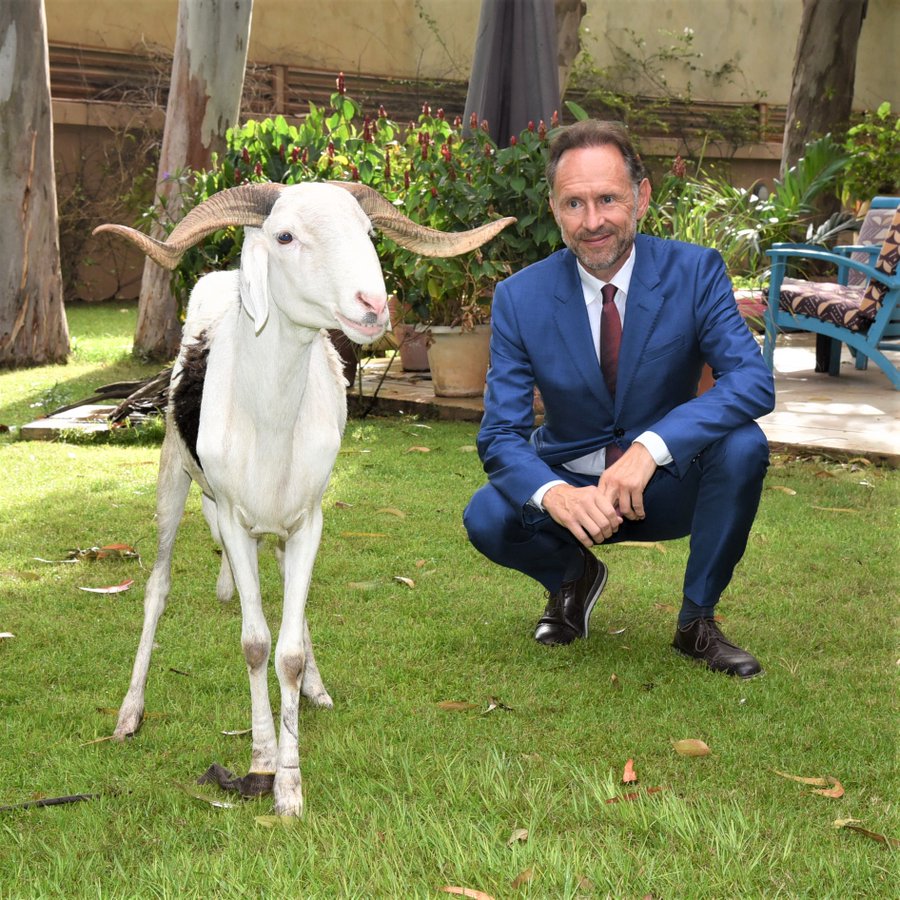 Tabaski : Qu’a fait l’Ambassadeur de l’UE au Sénégal avec son mouton ?