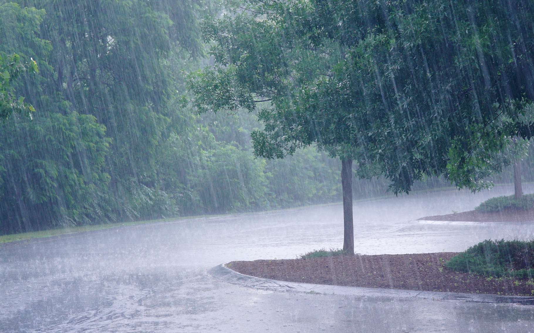 Météo: L’Anacim annonce d’autres manifestations pluvio-orageuses dans ces régions