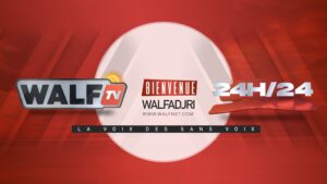 Walf Tv : Le ministre de la communication est-il habilité à couper le signal ?