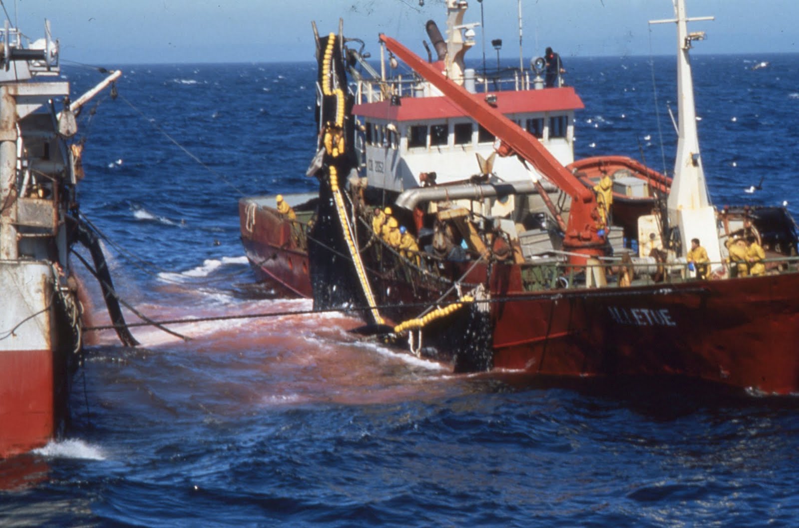 Accord de Pêche : L’Union Européenne réaffirme l’importance primordiale de son partenariat avec le Maroc