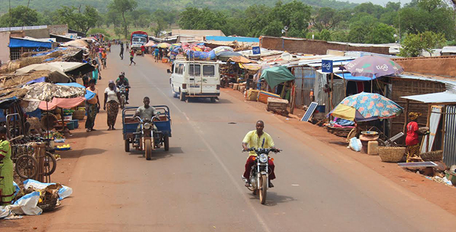 La fièvre de chikungunya frappe la région de Kédougou : Docteur Ababacar Mbaye révèle 44 cas